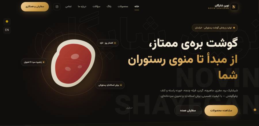 نوین شایگان — سایت لوکس PHP بدون دیتابیس با افکت 3D