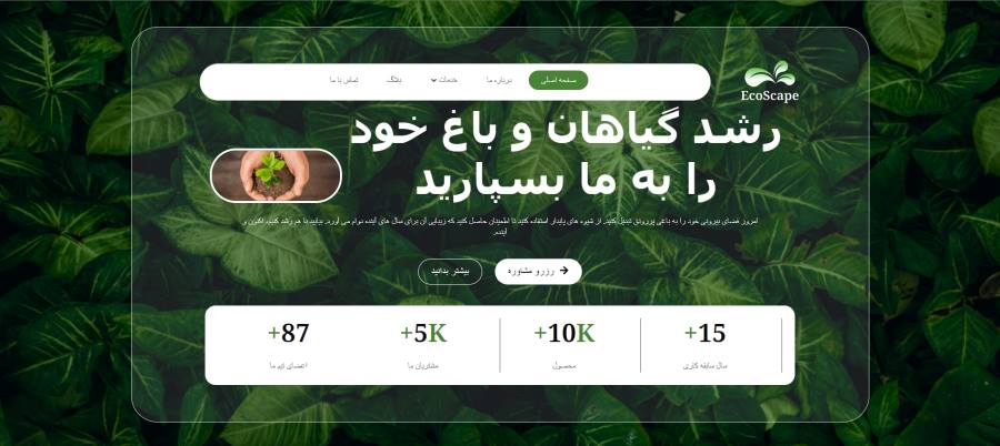طراحی سایت خدمات مراقبت از گیاهان