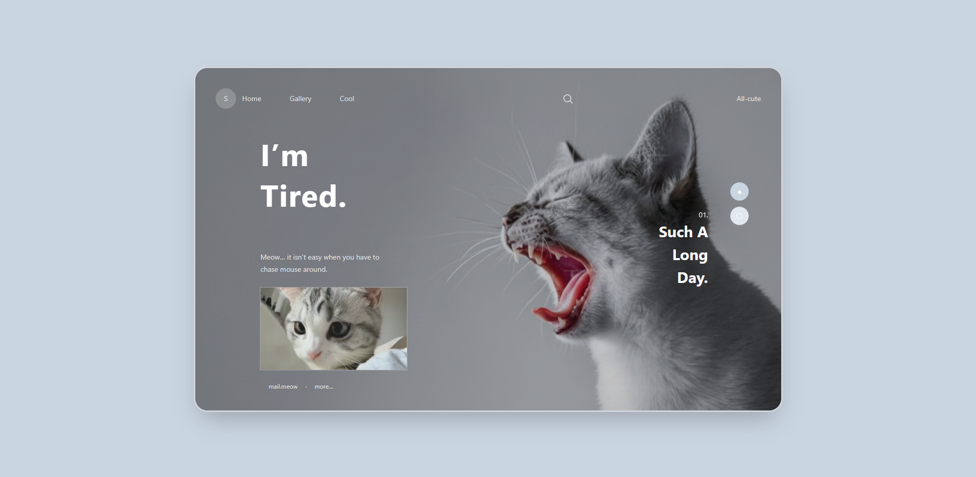 صفحه وب گربه‌ها - نمونه کار دانشجوی آروین شاه پسند